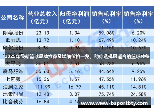 2025年最新篮球品牌推荐及详细价格一览，助你选择最适合的篮球装备