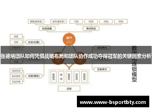 张德培团队如何凭借战略布局和团队协作成功夺得冠军的关键因素分析