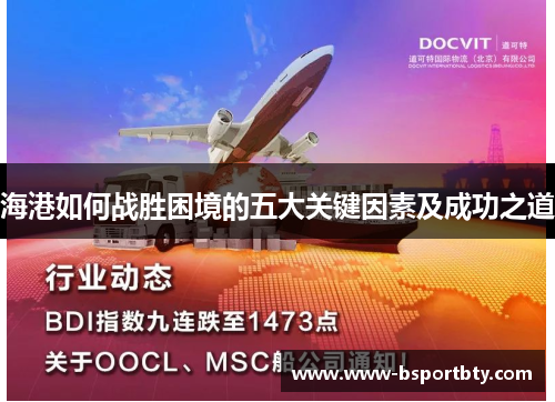海港如何战胜困境的五大关键因素及成功之道