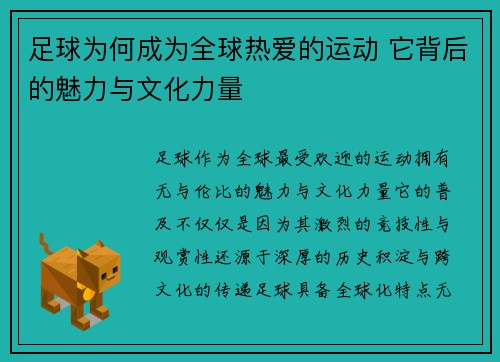 足球为何成为全球热爱的运动 它背后的魅力与文化力量