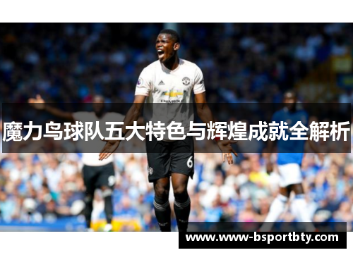 魔力鸟球队五大特色与辉煌成就全解析
